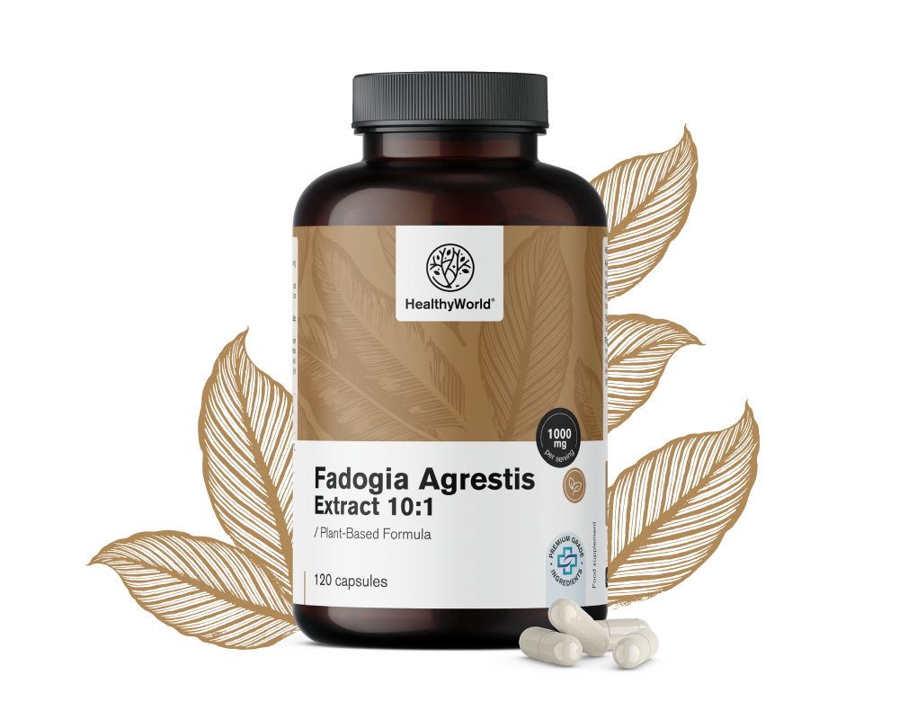 Fadogia Agrestis 1000 mg 