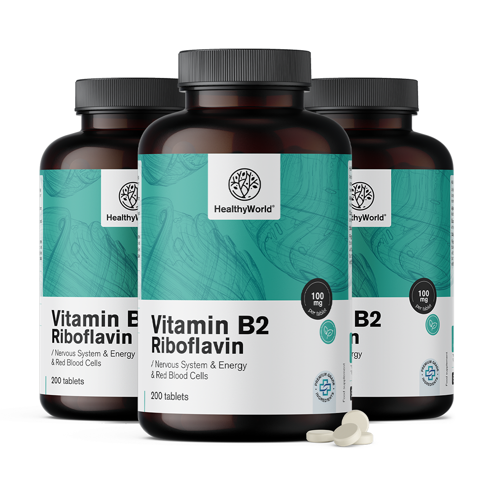 Vitamin B2 – riboflavin 100 mgVitamin B2 – riboflavin 100 mg
