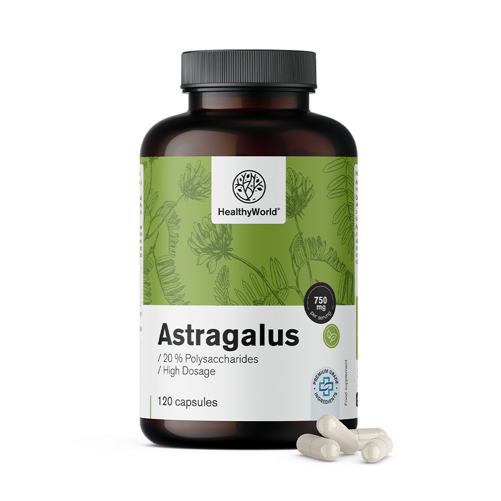 Astragalus – ekstrakt
