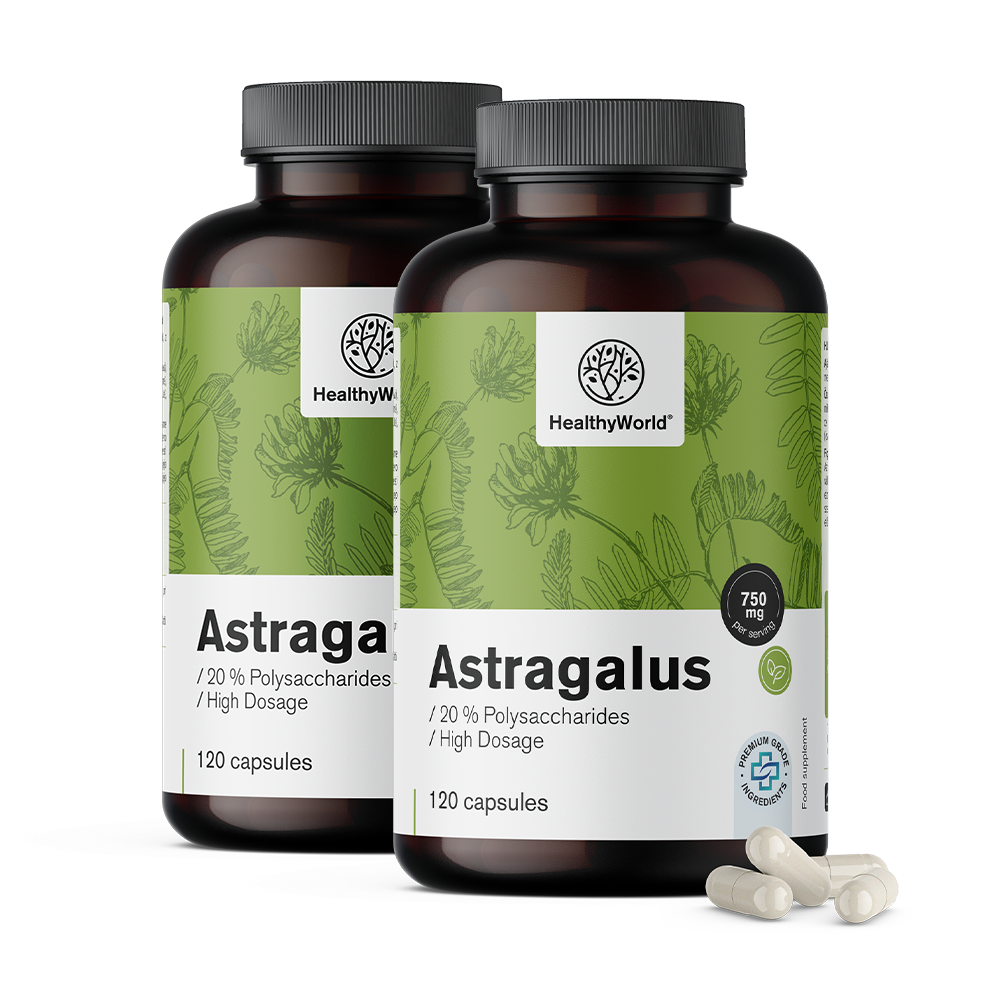 Astragalus – ekstrakt