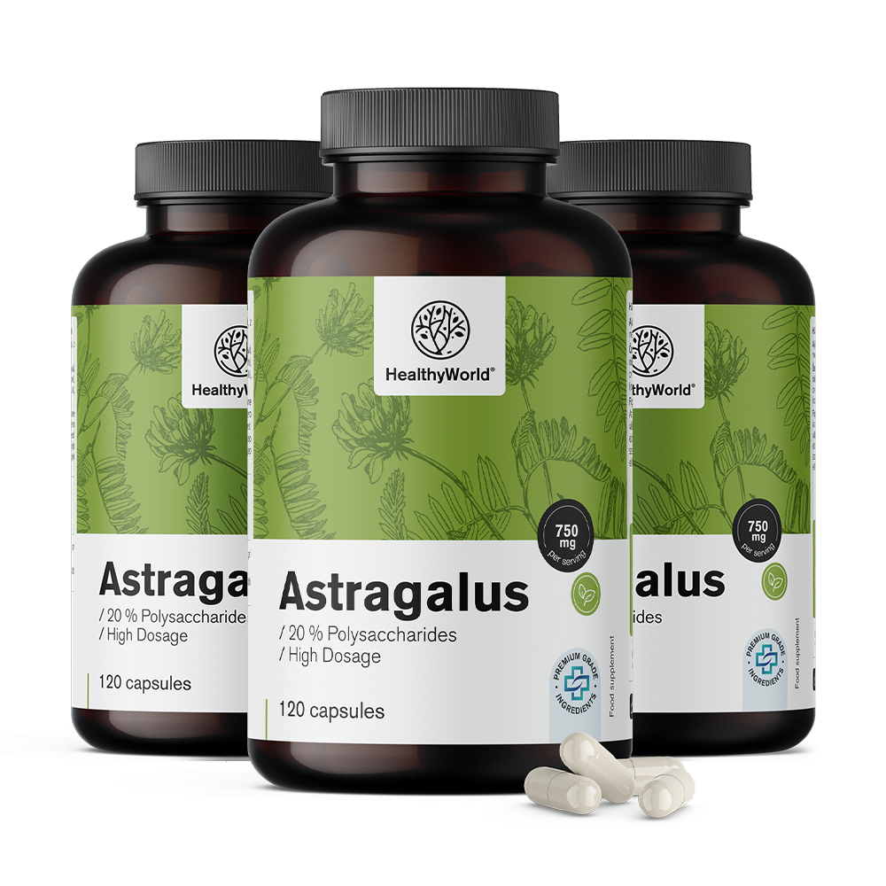 Astragalus – ekstrakt