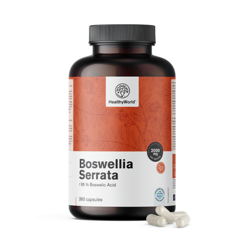 Bosvelija (Boswellia Serrata) – 85 % bosvelijske kiseline, 360 kapsula