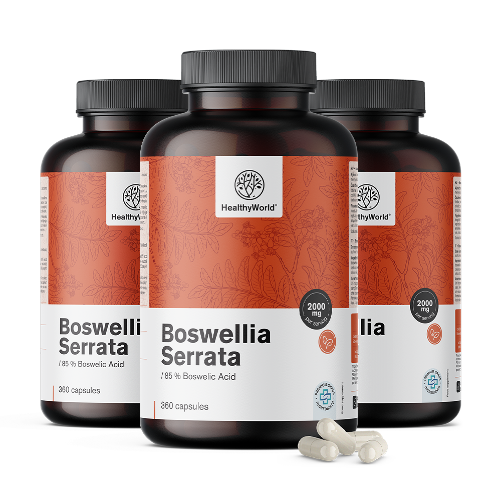 Bosvelija (Boswellia Serrata) – 85 % bosvelijske kiseline