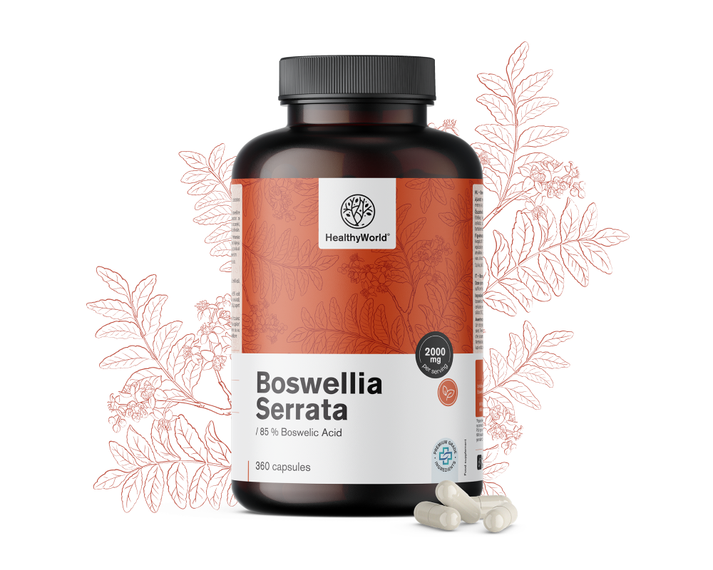 Bosvelija (Boswellia Serrata) – 85 % bosvelične kiseline