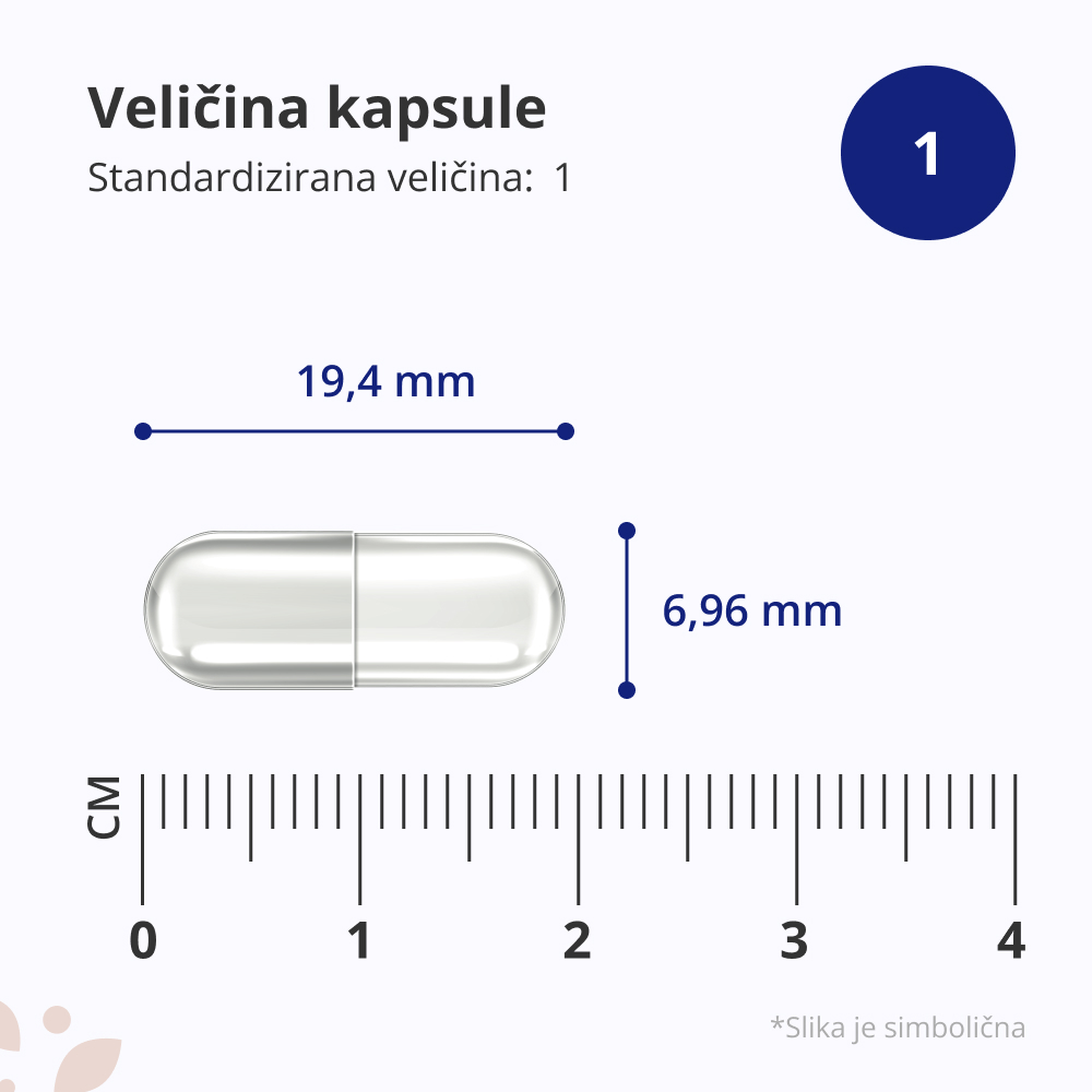 Spermidin 3 mg – iz ekstrakta pšeničnih klica, 120 kapsula ...